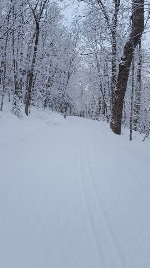 Arrowhead Provincial Park Cross Country Skiing