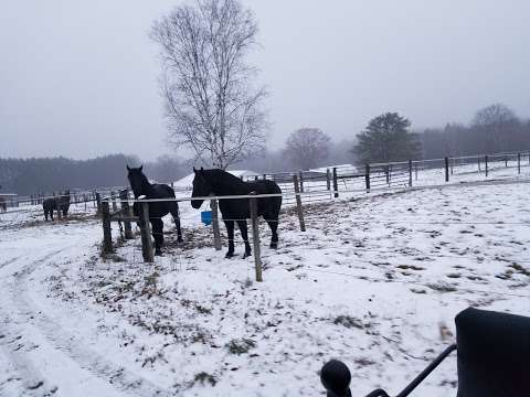 Back of Beyond Equine Centre