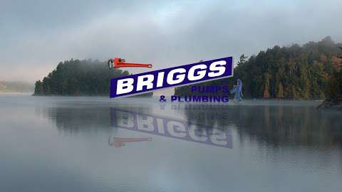 Briggs Pumps & Plumbing Ltd