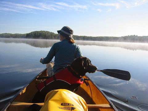 Muskoka Animal Hospital