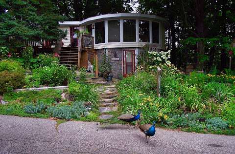 Muskoka Hot Rocks Massage Therapy